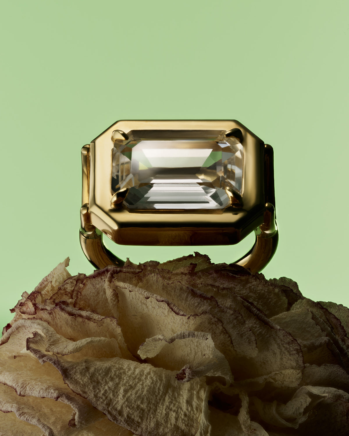 Stone Keeper Ring Gold