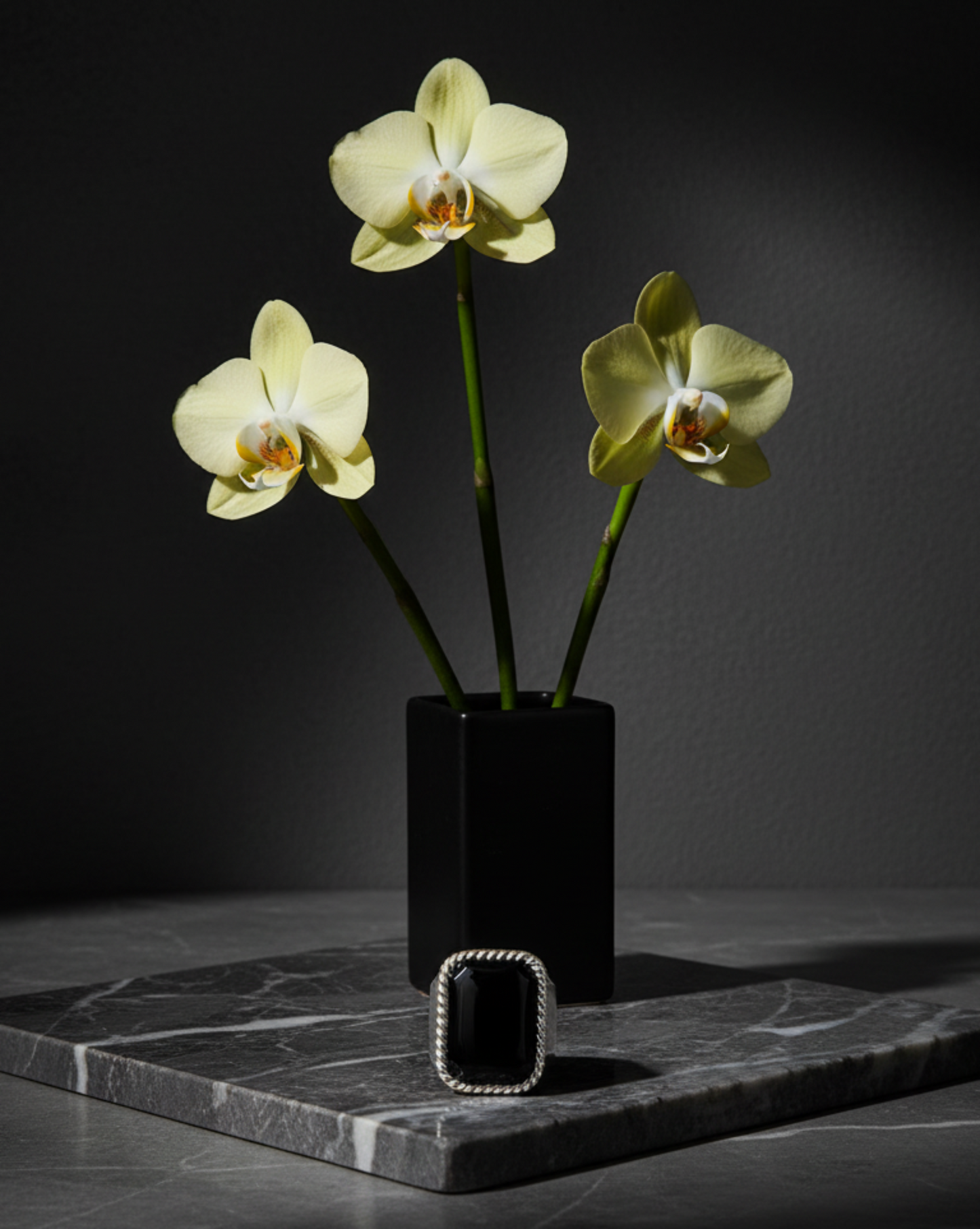 Sovereign Rope Ring Silver